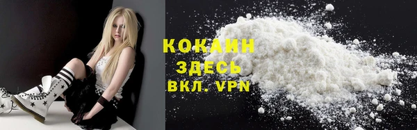 хмурый Абаза