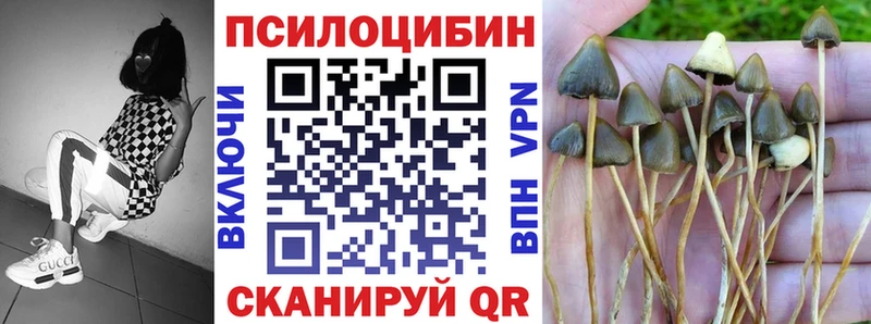 наркота ОМГ ОМГ ONION площадка официальный сайт Орёл Галлюциногенные грибы Cubensis